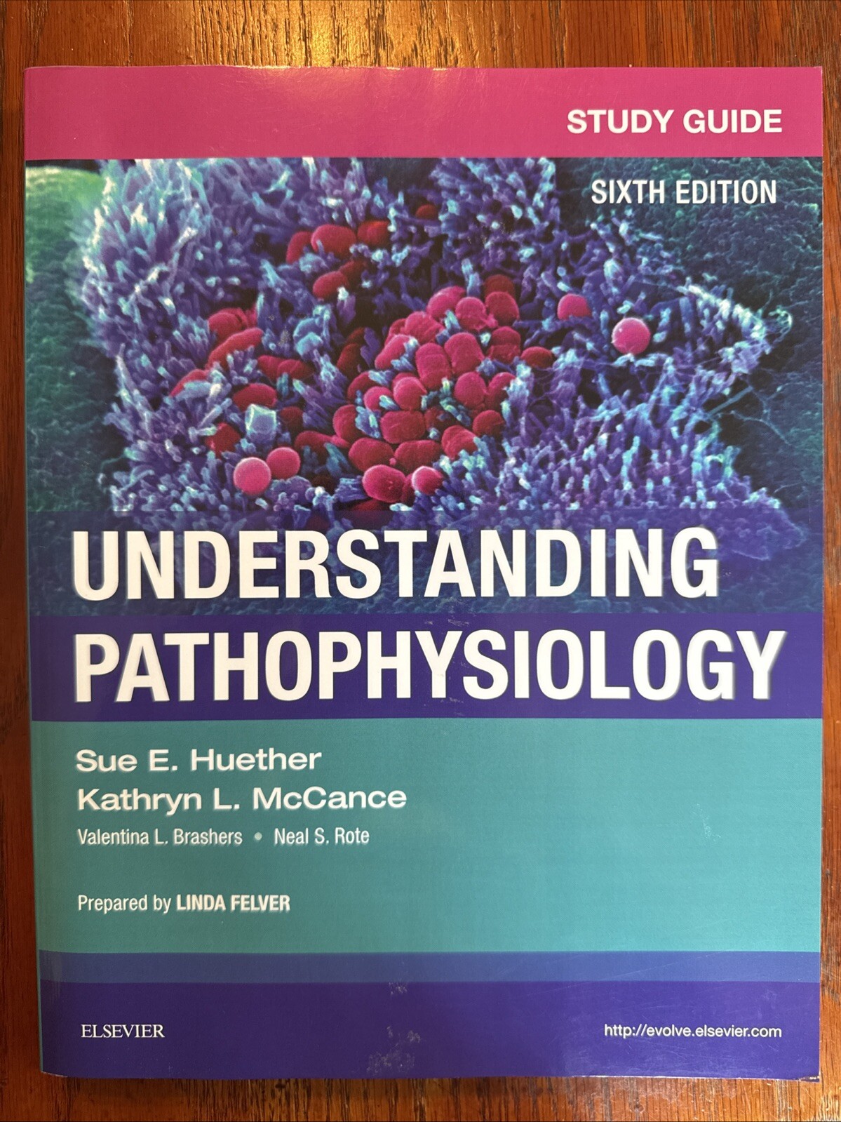 Study Guide for Understanding Pathophysiology by Kathryn L. McCance and Sue…